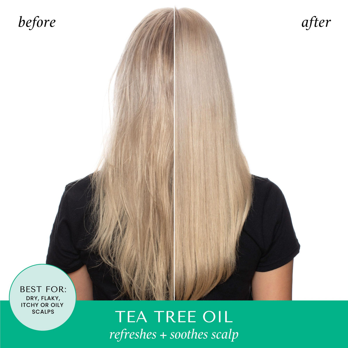 HASK Tea Tree Oil & Rosemary Shampoo and Conditioner set on a bathroom shelf