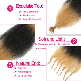 Hbegant Afro Twist Hair 24 Inch in packaging