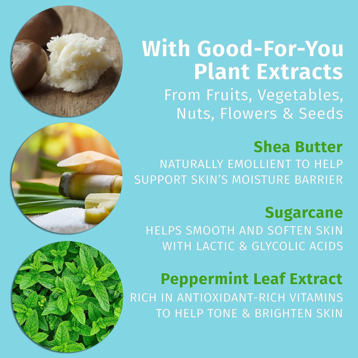 Hempz Peppermint Cane Body Lotion in lifestyle setting with festive decorations