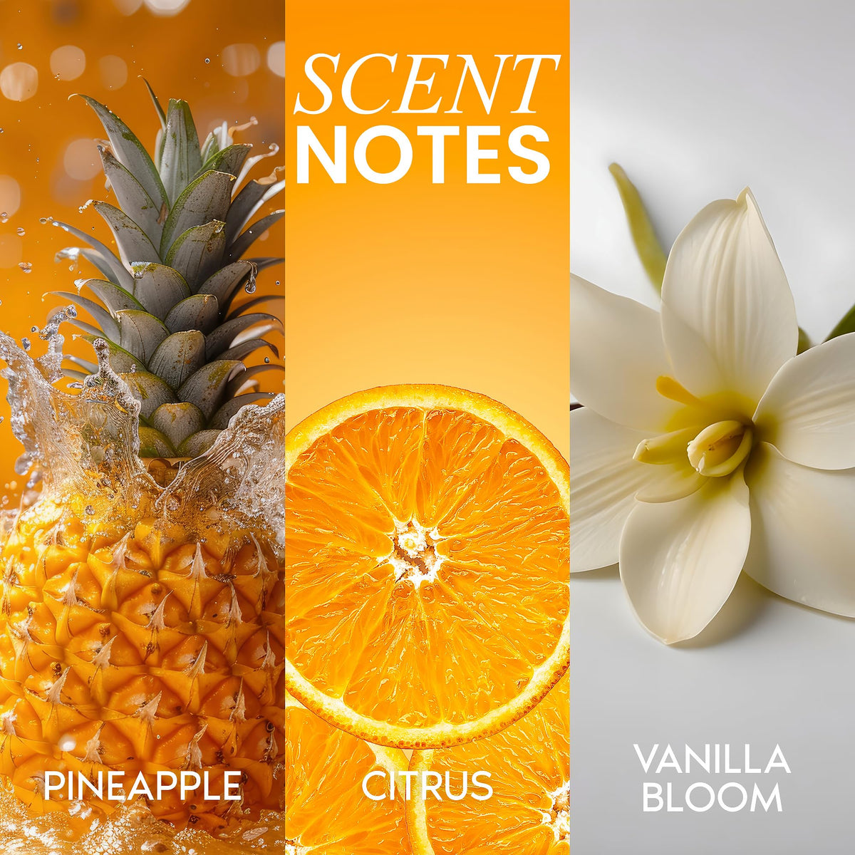 Her Fantasy Box Body Splash Hydrating Body Oil Pineapple Crème packaging details