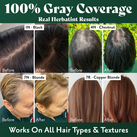 Herbatint Dark Chestnut Brown hair dye application tools