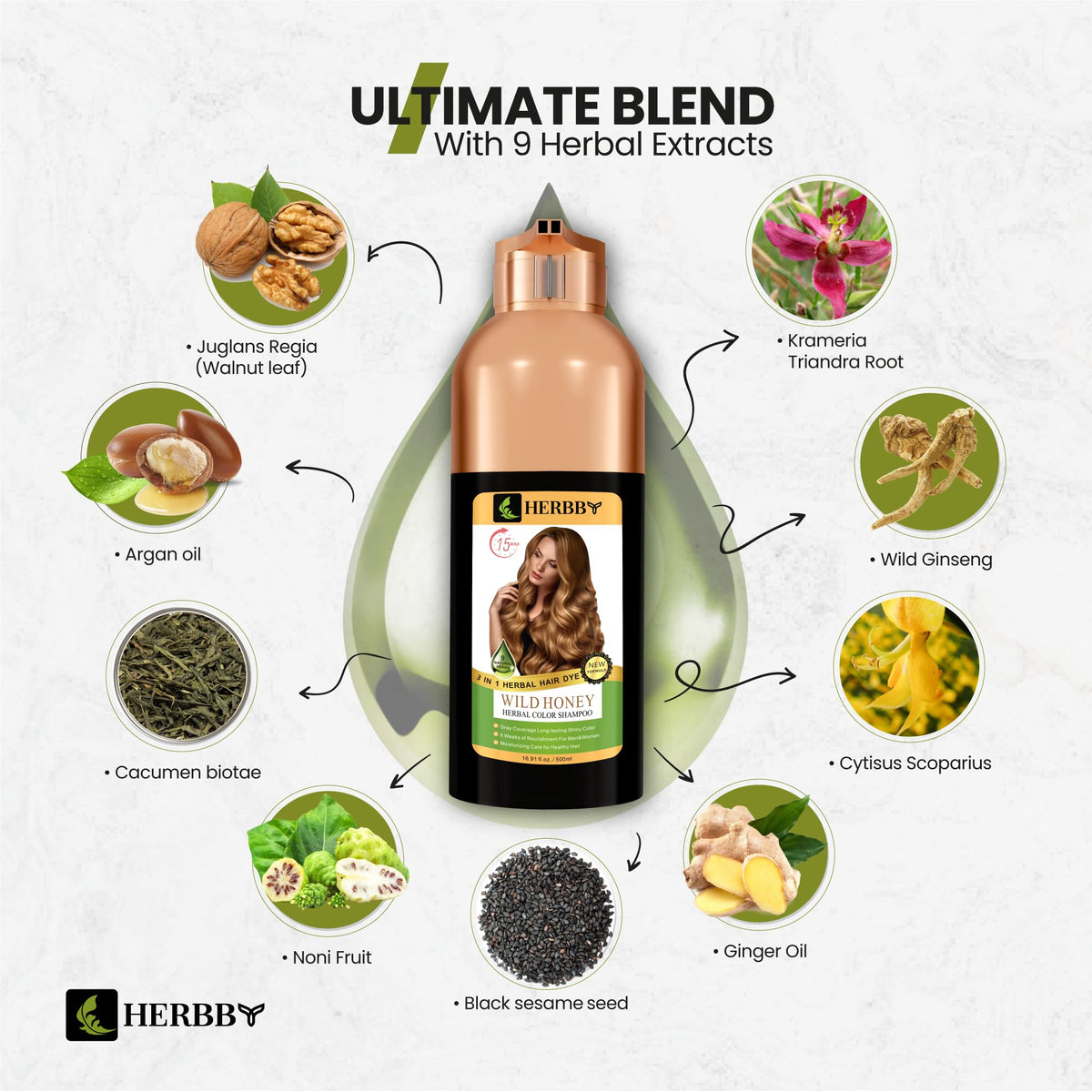 HERBBY Hair Colour Shampoo application process