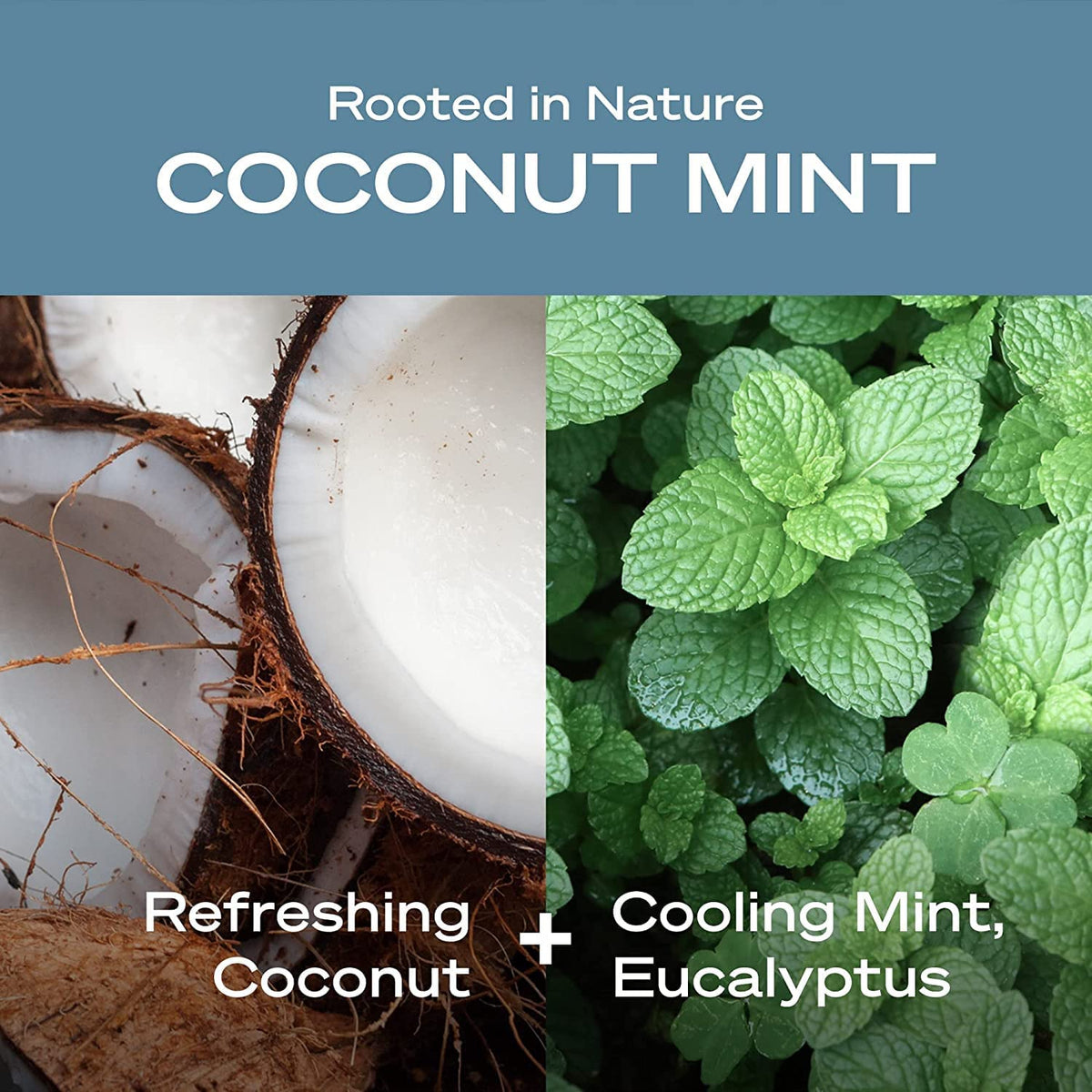 HEY HUMANS Coconut Mint Deodorant close-up of label