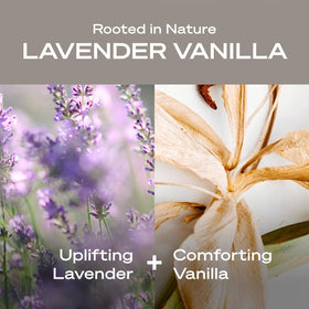 HEY HUMANS Lavender Vanilla Deodorant ingredients list