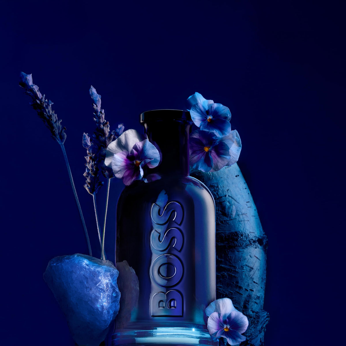 Hugo Boss Bottled Night bottle back view