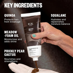 IGK Brown Bella Hair Gloss with brush and tint bowl