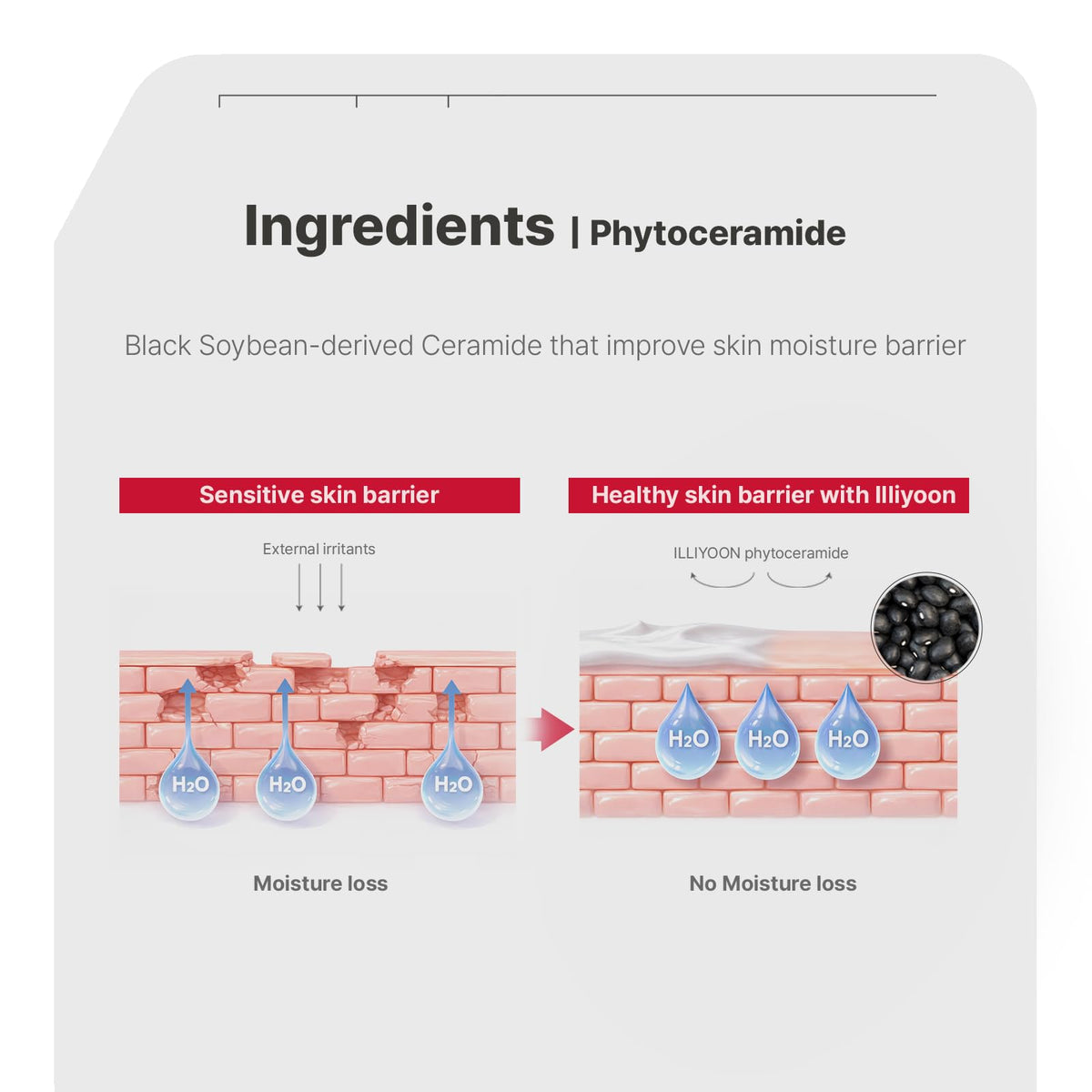 Illiyoon Ceramide ATO Moisturizing Milky Toner lifestyle scene
