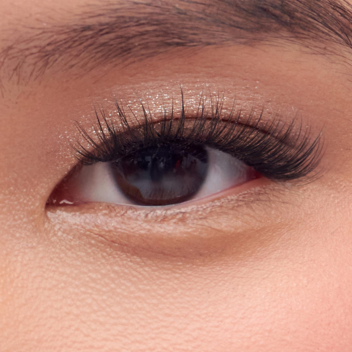 imPRESS Falsies Self Adhesive Eyelashes close-up of lash clusters