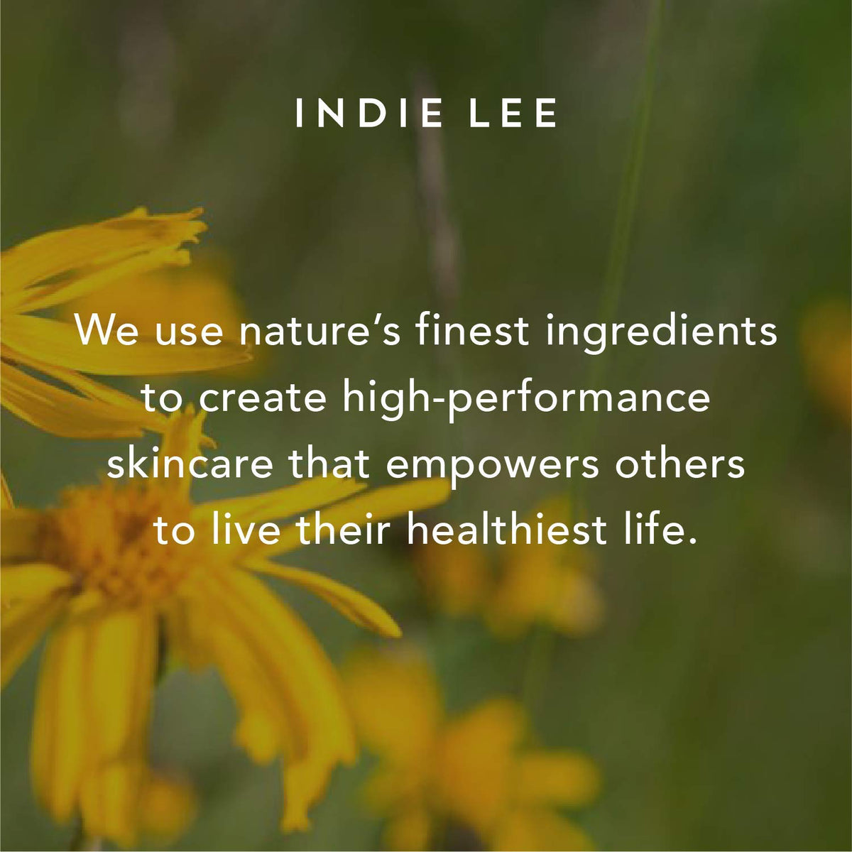 Indie Lee Retinol Alternative Cream 45ml application demonstration