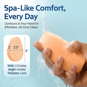 Individual HartFelt exfoliating sponge showing texture