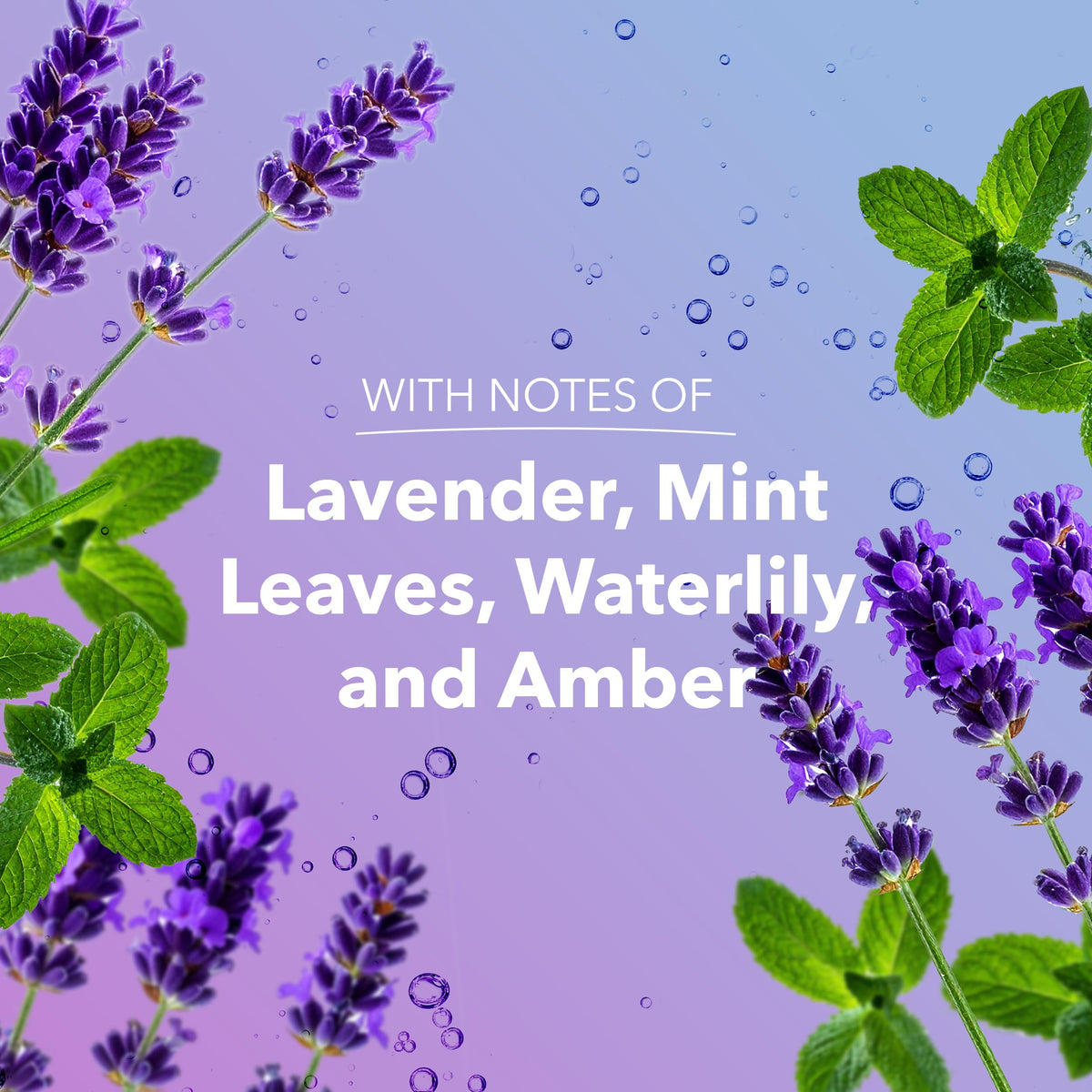 Ingredients list of Safeguard Liquid Hand Soap Lavender Scent