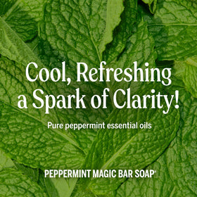 Ingredients of Dr. Bronner's Pure-Castile Bar Soap