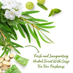 Ingredients of Roycederm Tea Tree Body Wash displayed