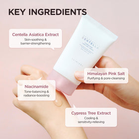 Ingredients of SKIN1004 Poremizing Gel Cream displayed