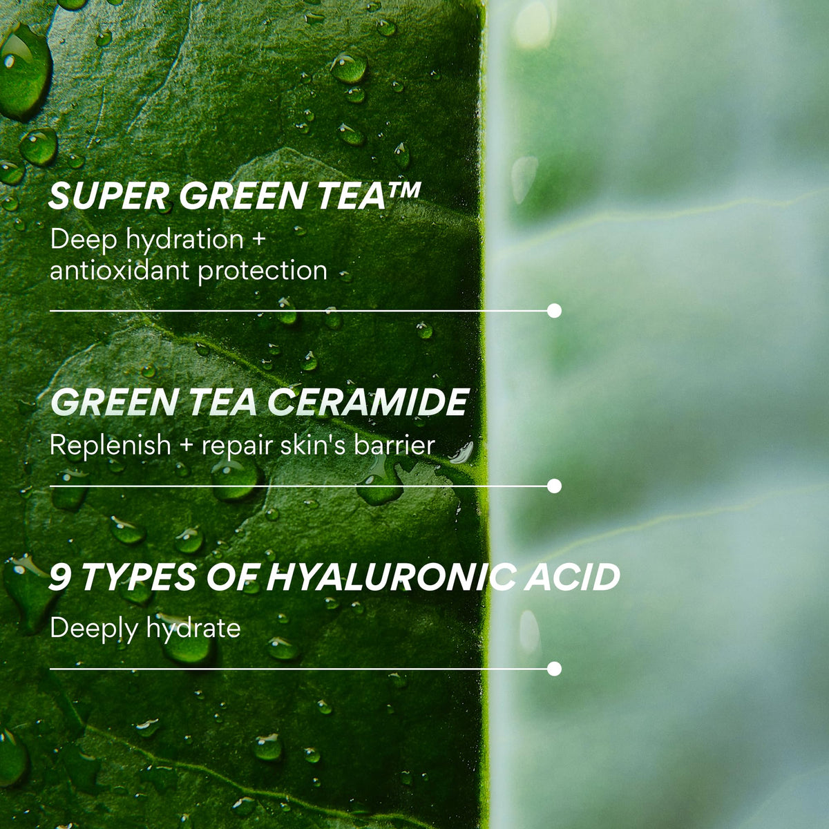 innisfree Green Tea Ceramide Milk Mini Toner application on skin
