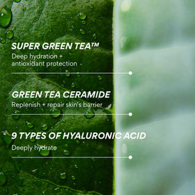 innisfree Green Tea Ceramide Milk Refill with skincare routine products