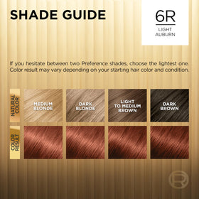 Instruction leaflet for L'Oreal Paris Hair Colour Kit