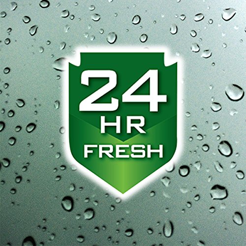Irish Spring Aloe Vera Body Wash 18 Fl Oz lifestyle scene