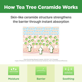 ISOI Moisture Dr. Soothing Toner with tea tree leaves