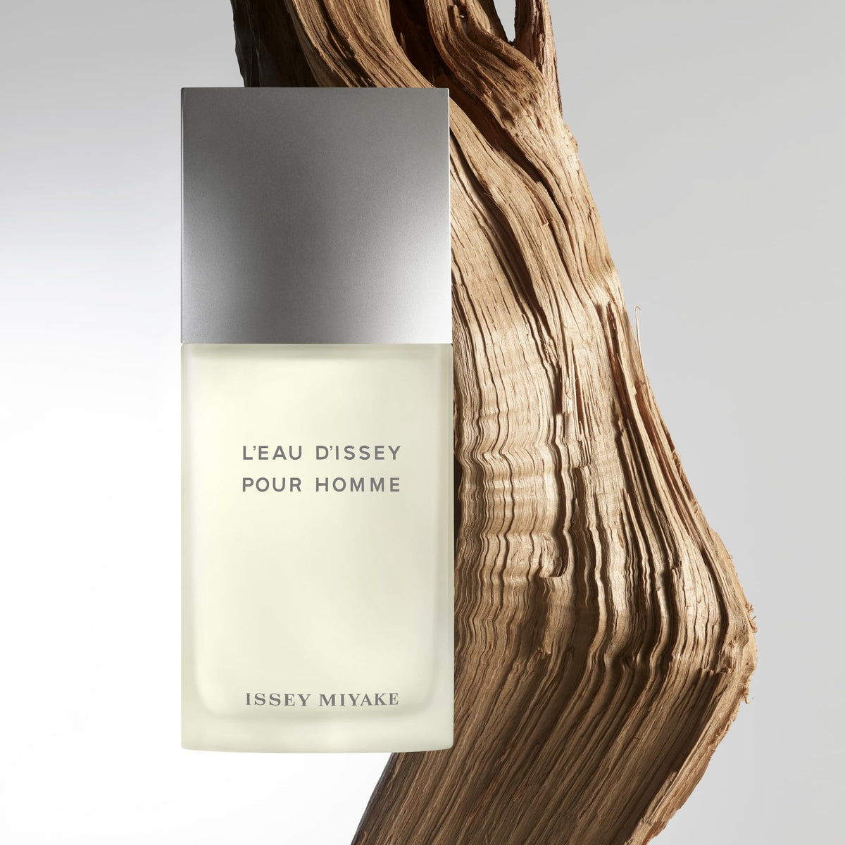 Issey Miyake L'Eau d'Issey Pour Homme 6.7 oz packaging