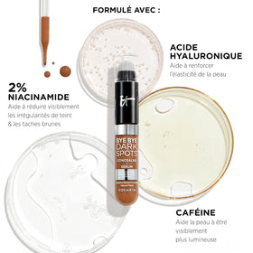 IT Cosmetics Bye Bye Dark Spots Concealer 20 Light Cool kabuki brush