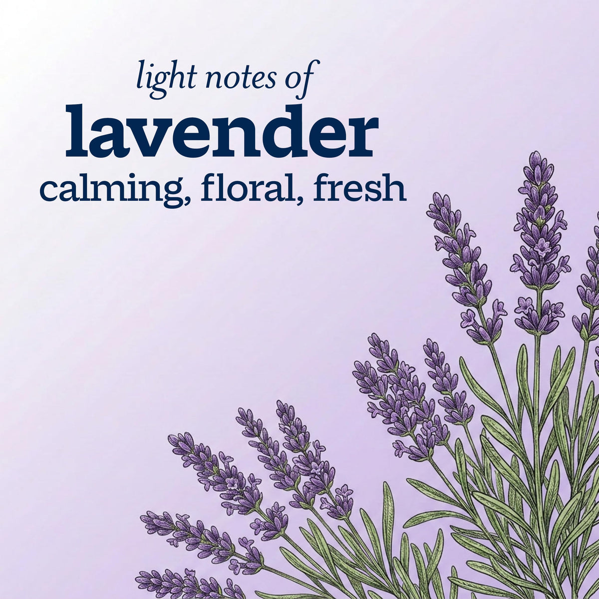 Ivory Body Wash 35 oz with lavender flowers