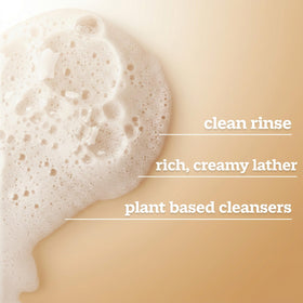 Ivory Body Wash Coconut Scent packaging