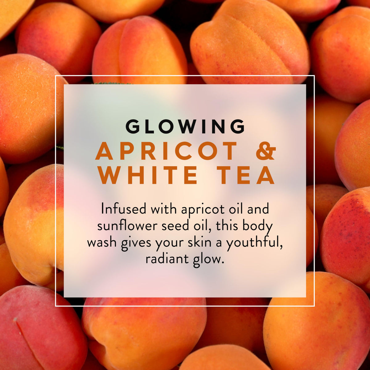 JASON Apricot and White Tea Glowing Body Wash in a shower setting