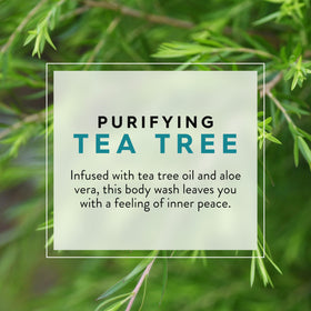 JASON Tea Tree Body Wash with Aloe Vera ingredients