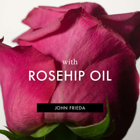 John Frieda Frizz Ease Dream Curls Mousse ingredients list