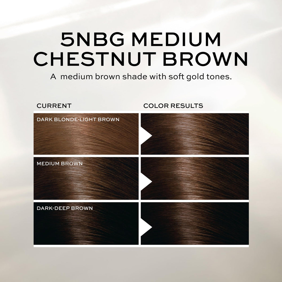 John Frieda Precision Foam Colour Medium Chestnut Brown 5NBG gloves and instructions