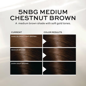 John Frieda Precision Foam Colour Medium Chestnut Brown 5NBG gloves and instructions