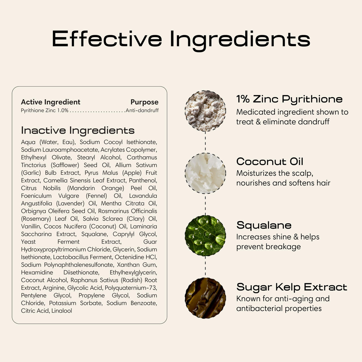Jupiter Anti Dandruff Shampoo with ingredients displayed