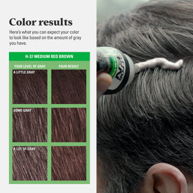 Just for Men Shampoo-In Color Medium Red Brown H-37 colour swatch