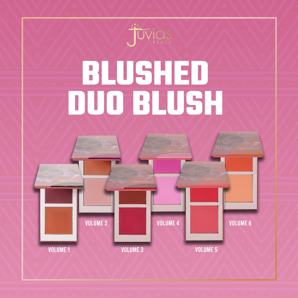 Juvia's Place Duo Blush Volume 5 swatches on skin