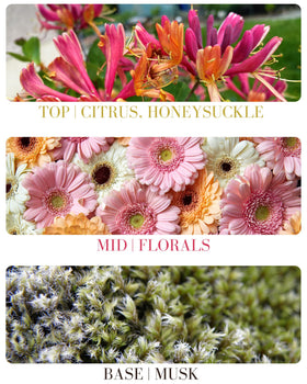 Kailuna Co. Honeysuckle Essential Oil Perfume Roll On packaging details