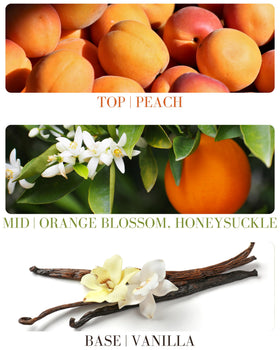 Kailuna Co. Juicy Georgia Peach Essential Oil Perfume Roll On side view
