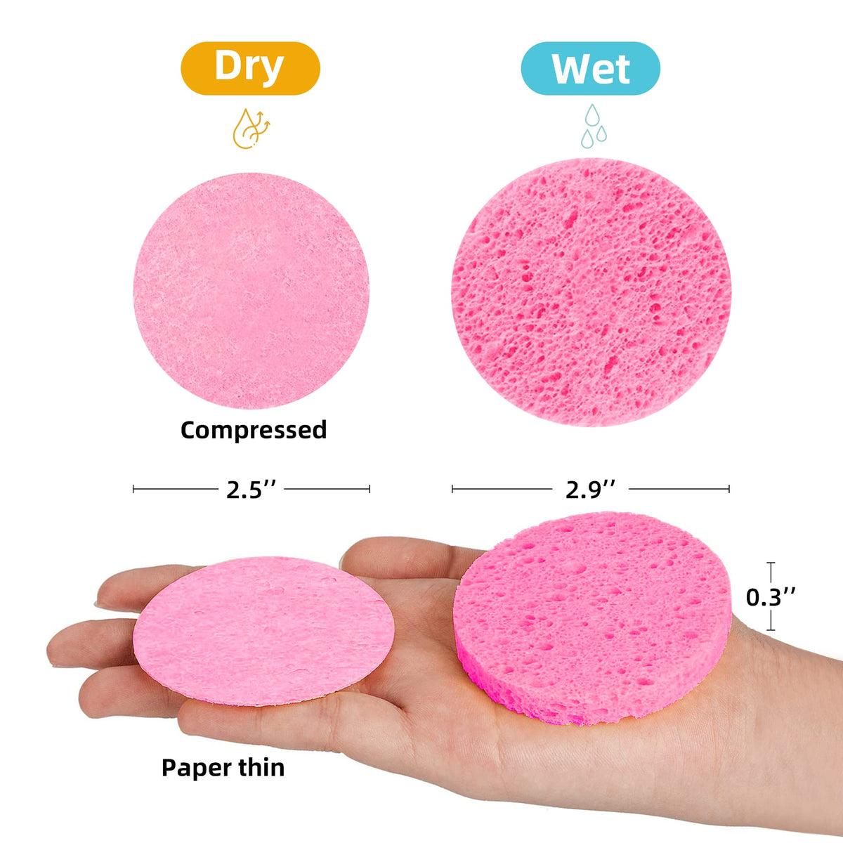 kickleen Compressed Facial Sponge close-up showing texture