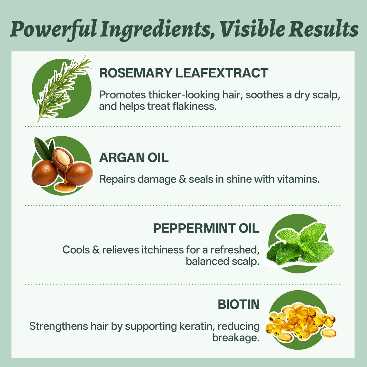L LUSETA Rosemary Mint Shampoo & Conditioner Set with ingredients