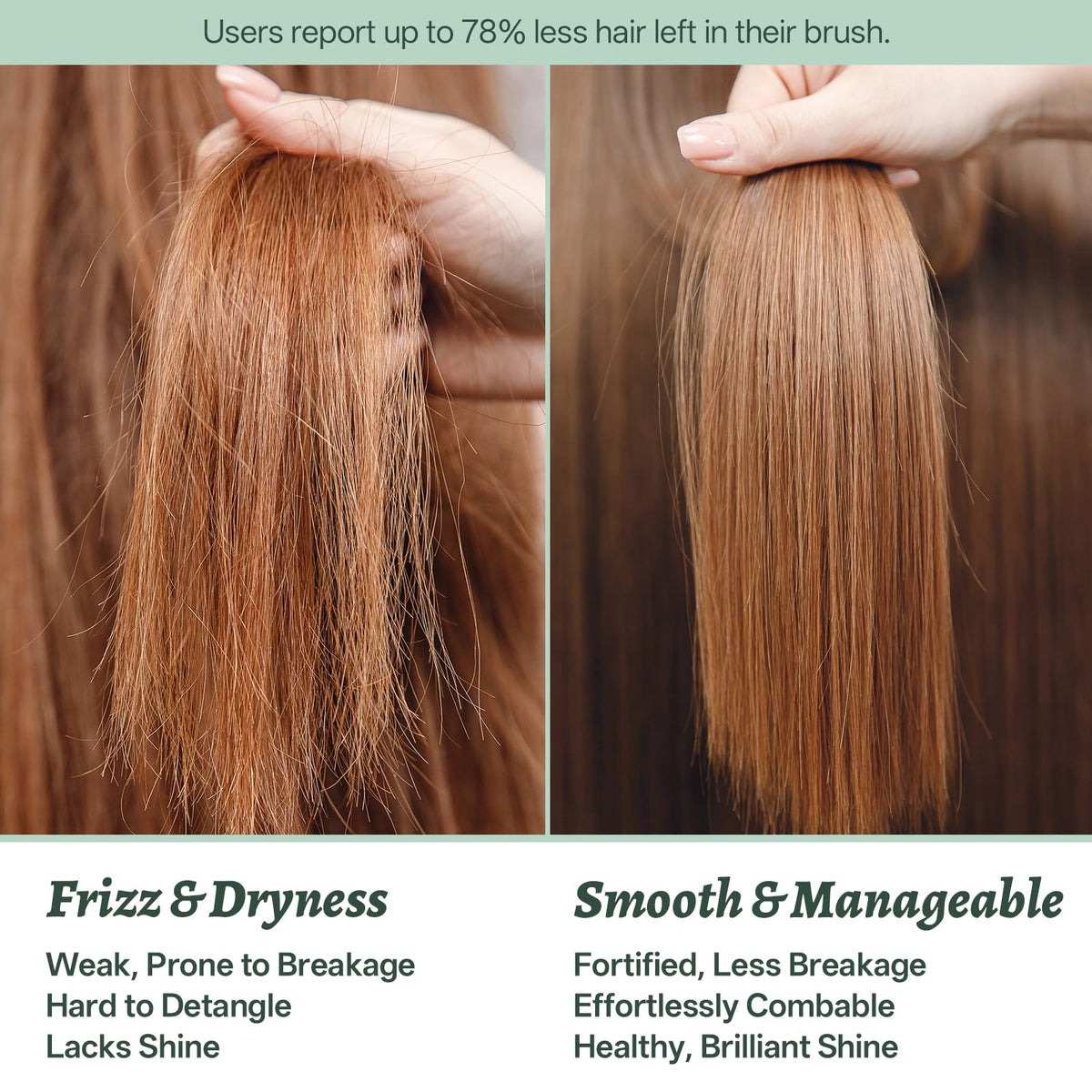 L LUSETA Rosemary Mint Shampoo & Conditioner travel-size bottles