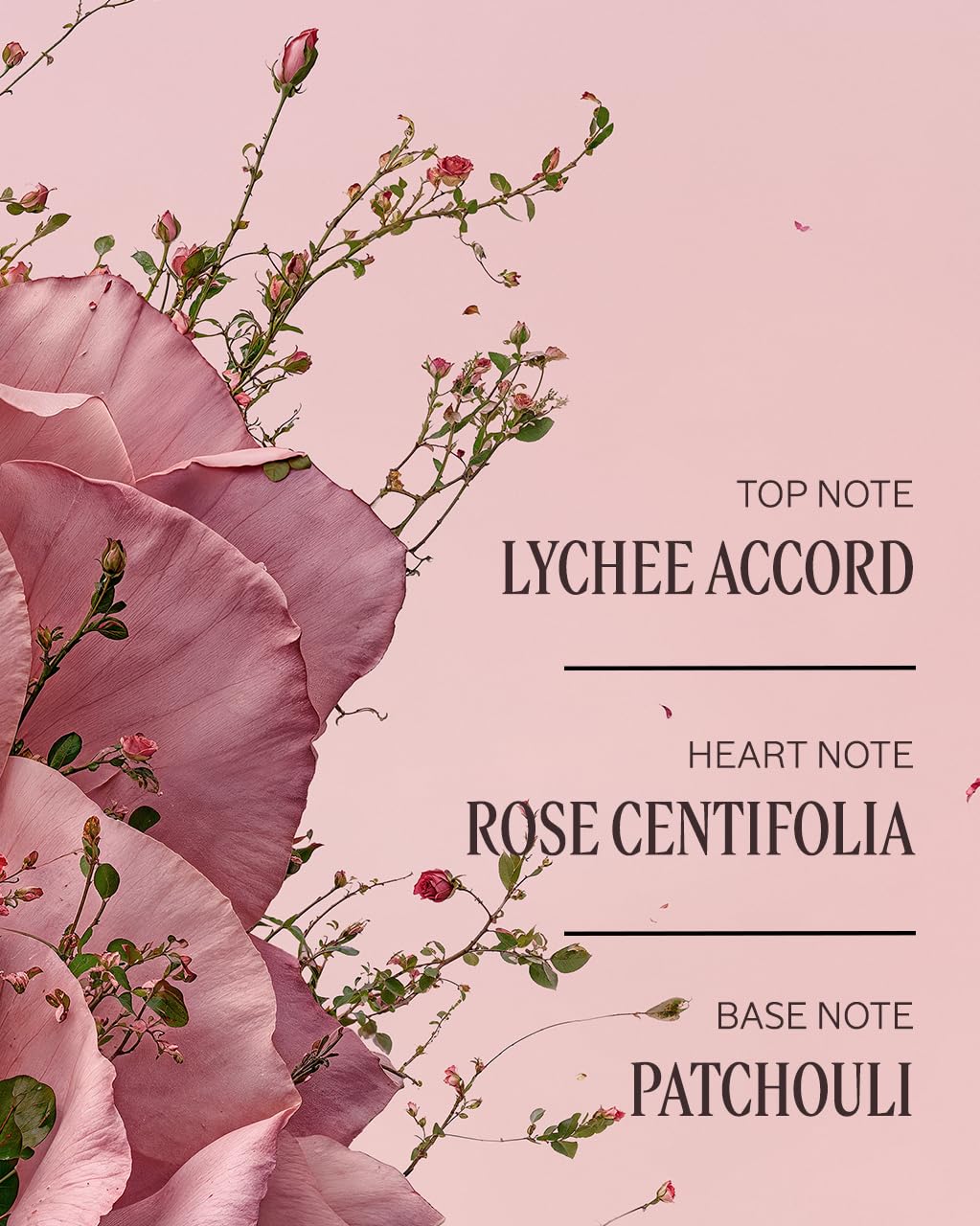 L'OCCITANE Rose Hand Cream 5.20 oz lifestyle scene on a vanity