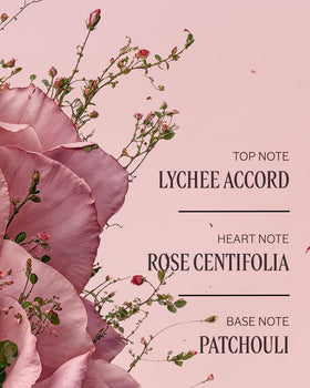 L'OCCITANE Rose Hand Cream 5.20 oz lifestyle scene on a vanity