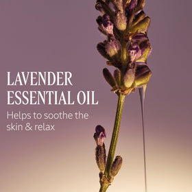 L'OCCITANE soap bar with lavender flowers background