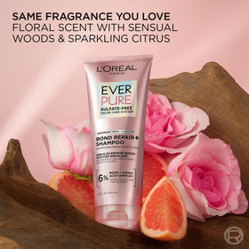 L'Oreal Paris EverPure Bond Repair+ Shampoo texture close-up