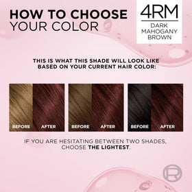 L'Oreal Paris Excellence Crème Hair Dye 4RM Dark Mahogany Red lifestyle application