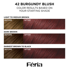 L'Oreal Paris Feria Hair Colour Kit packaging and contents