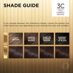L'Oreal Paris Hair Colour Kit instruction leaflet