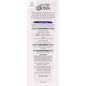 L'Oreal Paris Le Color Gloss Silver Slate application instructions