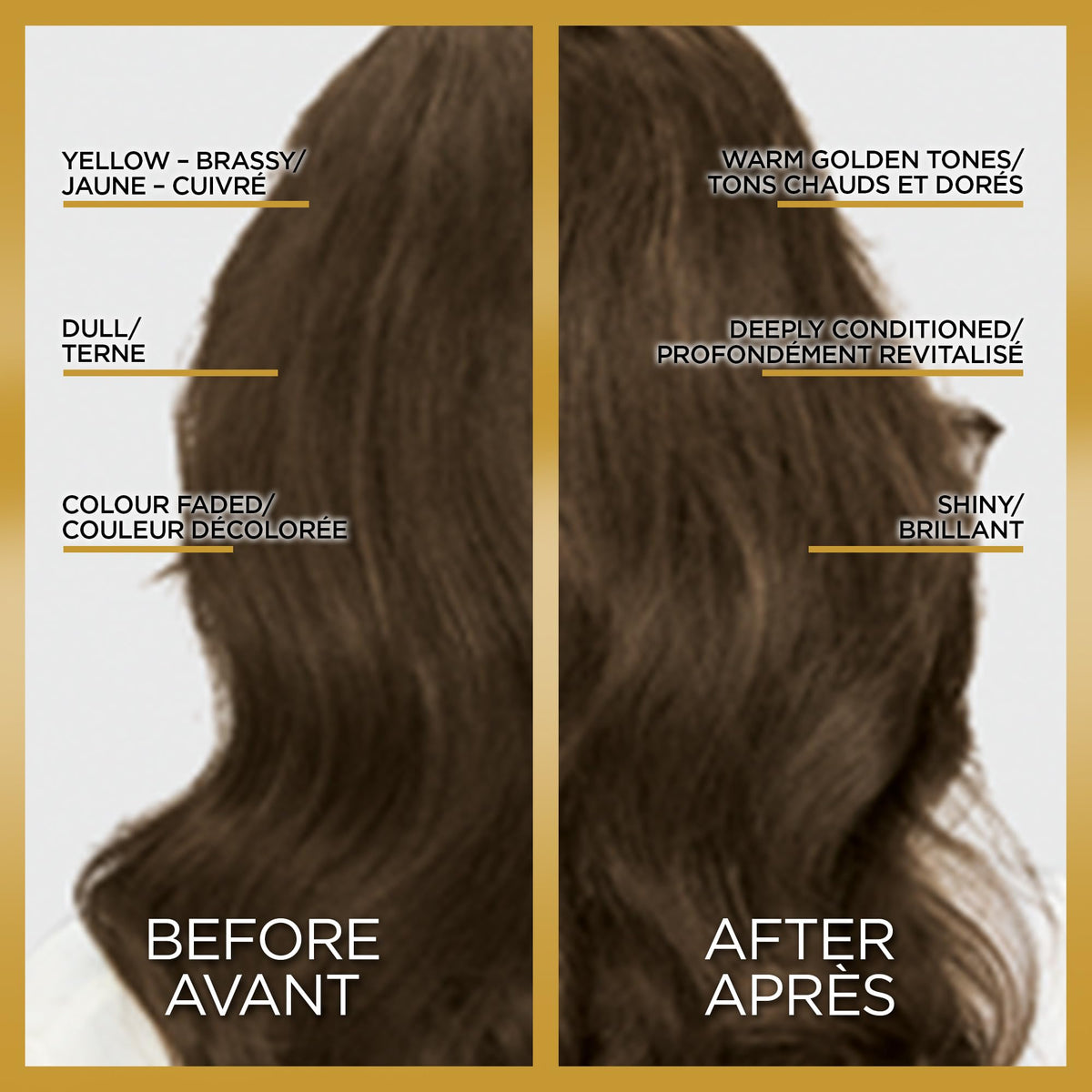 L'Oreal Paris Le Color One Step Toning Hair Gloss Rich Brunette back view