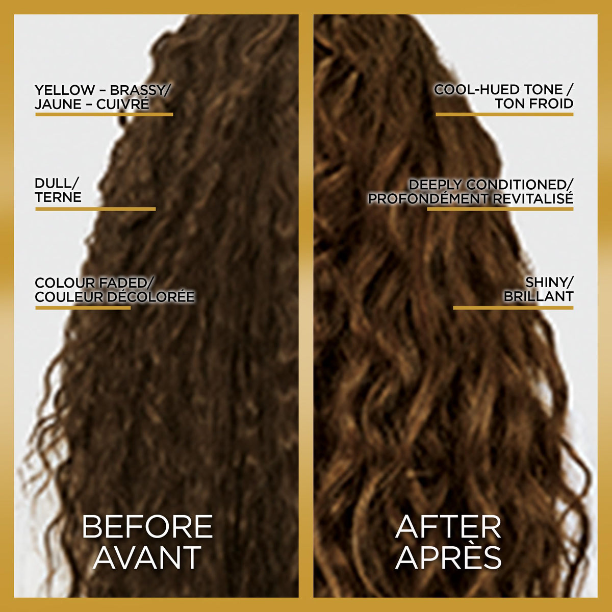 L'Oreal Paris Toning Hair Gloss packaging with instructions